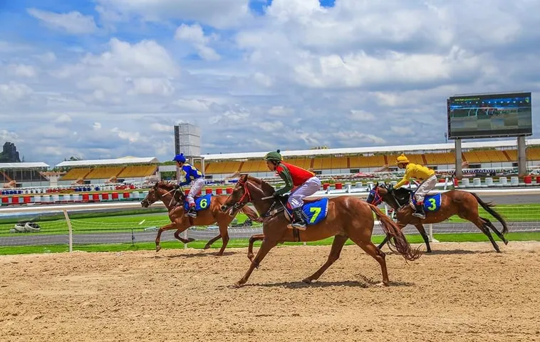 Chinh Phục Trường Đua Bí Quyết Cá Cược Đua Ngựa PG88 Chắc Thắng 2 Chinh Phục Trường Đua Bí Quyết Cá Cược Đua Ngựa PG88 Chắc Thắng