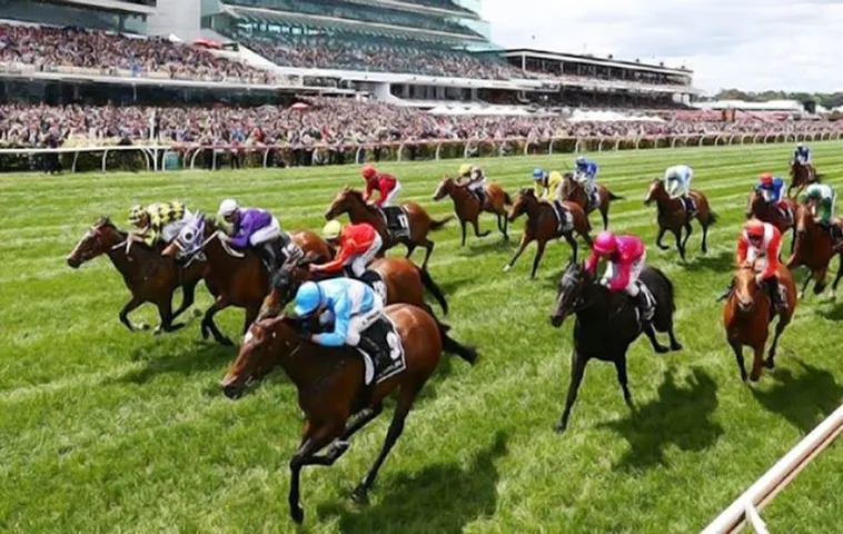 Chinh Phục Trường Đua Bí Quyết Cá Cược Đua Ngựa PG88 Chắc Thắng 1 Chinh Phục Trường Đua Bí Quyết Cá Cược Đua Ngựa PG88 Chắc Thắng